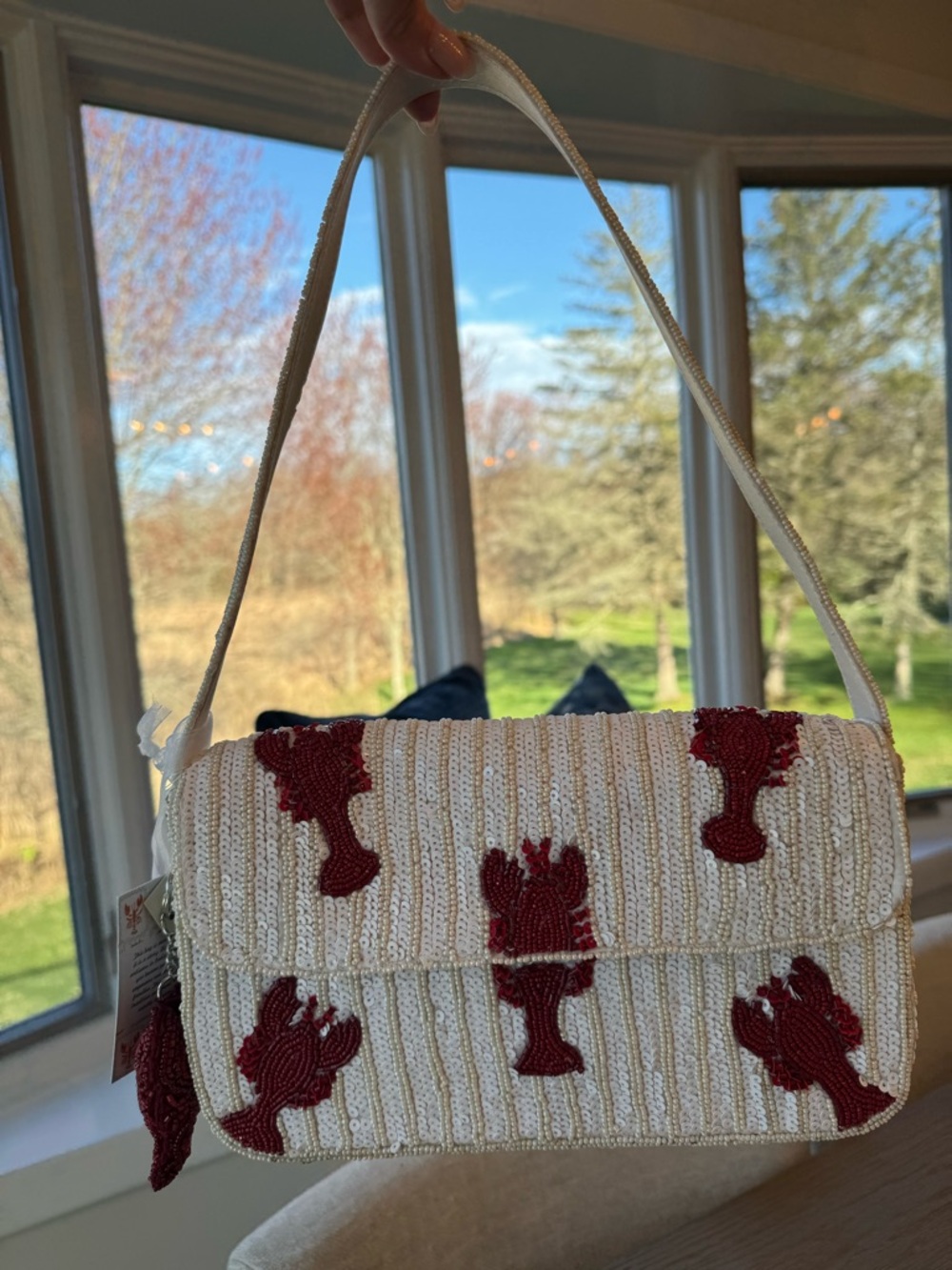Tik Tok Viral Beaded Lobster Bag - Picture 3 of 11